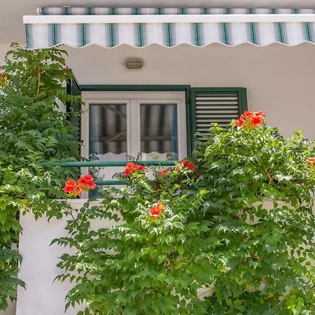Guest house Marko 3*